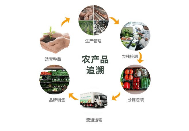 e批生鲜与农产品批发流通环节的融合-搜狐